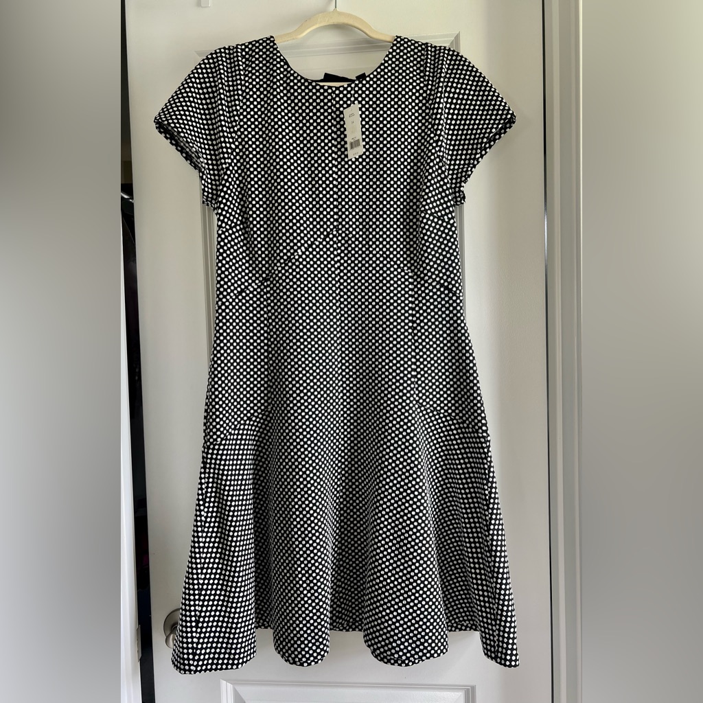 Brand New Banana Republic Dress